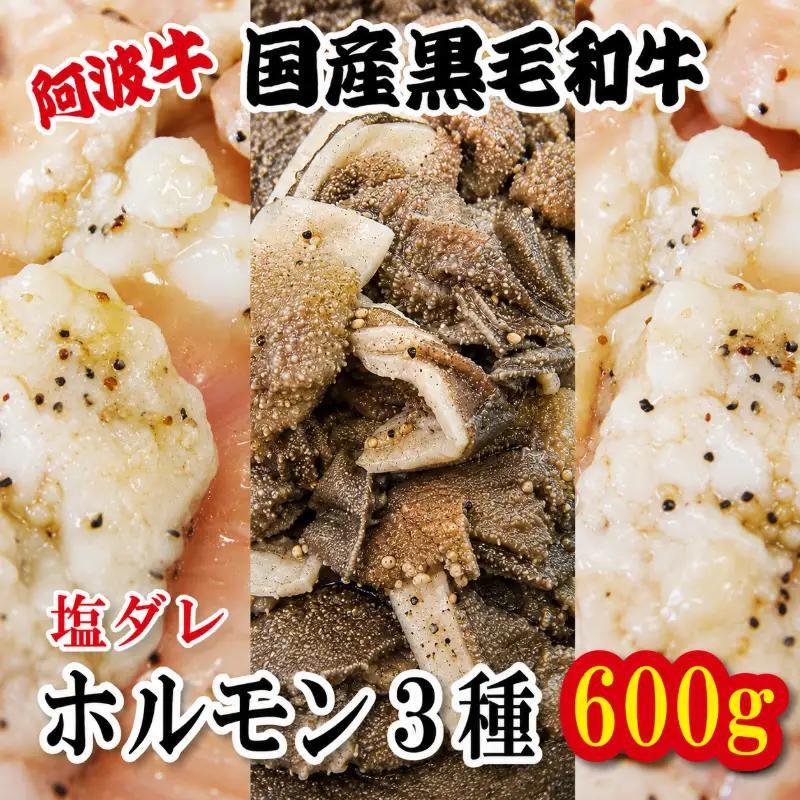 塩ダレ ホルモン 小腸 大腸 センマイ 3種セット 阿波牛 200g×3パック 計600g 