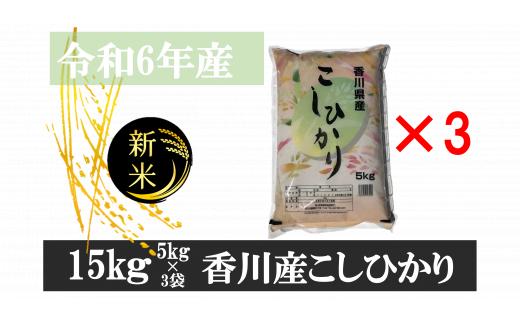 893-12　令和6年産香川県産こしひかり　5ｋｇ×3　紙袋配送　【12月配送】