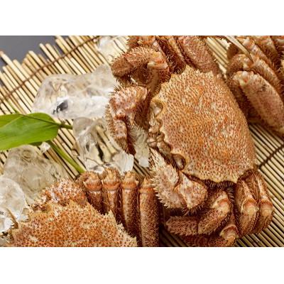 ふるさと納税 森町 前浜茹で毛がに 約500〜550g×2尾 |  | 01