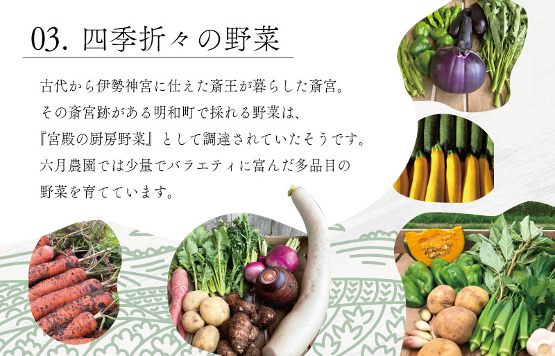 宮殿の厨房野菜 おまかせ定期便 （3回） 六月農園 野菜 セット 産地直送 おまかせ 5品 季節の野菜 旬 詰め合わせ 人気 限定 有機栽培 オーガニック 明和町 国産 リピート 定期便