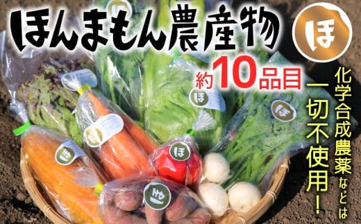 
化学合成農薬等不使用で栽培！安心安全な「ほんまもん野菜」を10品目前後お届け♪
