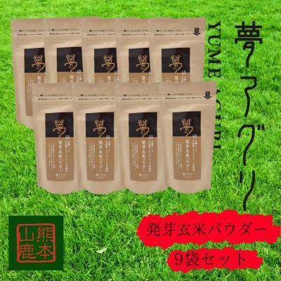 ふるさと納税 山鹿市 発芽玄米パウダー100g×9袋【株式会社夢アグリ】《山鹿市》