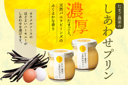 プリンとお菓子のデザートセット プリン カステラ マドレーヌ のし対応 洋菓子 焼き菓子 和菓子 お菓子 おやつ 詰合せ 贈答用 デイリーファーム プリン デザート スイーツ ココテラス なめらかプリ