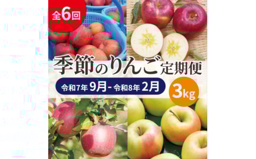 ＜発送月固定定期便＞＜25年9月～26年2月＞青森りんご 訳あり 品種おまかせ 3kg全6回【4066842】