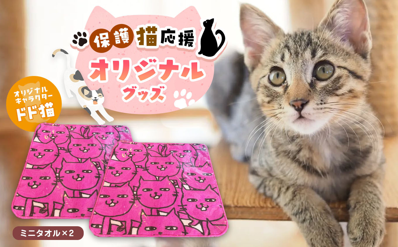 
                  オリジナル 猫ミニタオル(2枚入り) | 兵庫県 上郡町 猫 ミニタオル タオル ミニ
                