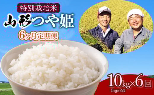 【令和7年産先行予約】【定期便】 特別栽培米 山形つや姫 精米 10kg(5kg×2袋)×6ヶ月　山形県鶴岡市産　鶴岡ファーマーズ
