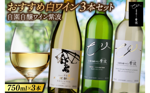 おすすめ白ワイン３本セット モンドブリエ・リースリングリオン・ミュラートゥルガウ＆ケルナー (AL087) 