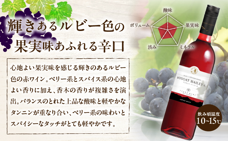 【数量限定】マスカット・ベーリーA 2本セット_T014-054【人気 ギフト 飲料 食品 お酒 お土産 限定品 贈り物 送料無料 プレゼント  ワイン 酒 飲料 アルコール 国産】