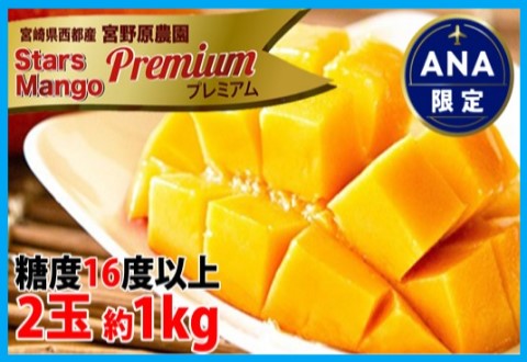 【ANA限定】糖度16度以上！宮崎スターズマンゴープレミアム 2～3玉（約1ｋｇ）宮野原農園《先行予約》2025年発送<3.5-1>果物 くだもの フルーツ ギフト 宮崎県西都市
