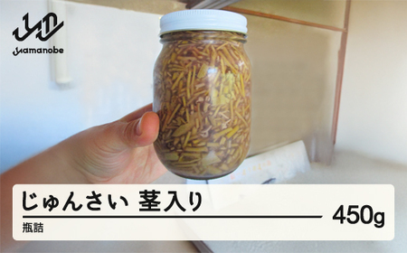 《先行予約》2025年 山形県 作谷沢産 じゅんさい(茎入り) 450g 瓶詰 ジュンサイ F20A-926
