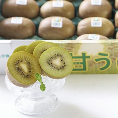 ふるさと納税 川崎町 福岡産ブランドキウイ・甘うぃ24-33玉箱(約3kg)(川崎町) |  | 02