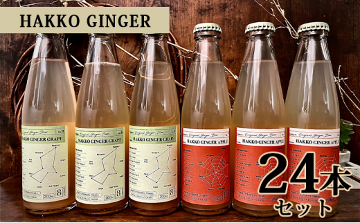 仁木産アップルとグレープを使ったジンジャービア HAKKO GINGER 200ml×24本セット 炭酸飲料 飲料類 果汁飲料 りんご ジュース 野菜飲料 ぶどうジュース ブドウ [株式会社デリシャスフロム北海道]