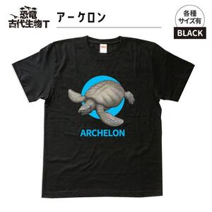 恐竜・古代生物Tシャツ　アーケロン　サイズ140（キッズ・ユニセックス）