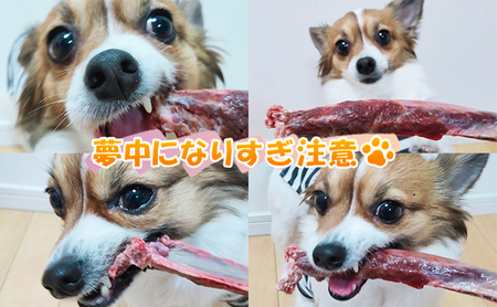 ペットフード 鹿肉 カット肉 1kg 生あばら骨 500g ドックフード
