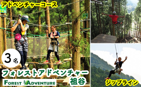 フォレストアドベンチャー 祖谷 アドベンチャーコース 3名 チケット 観光【観光】