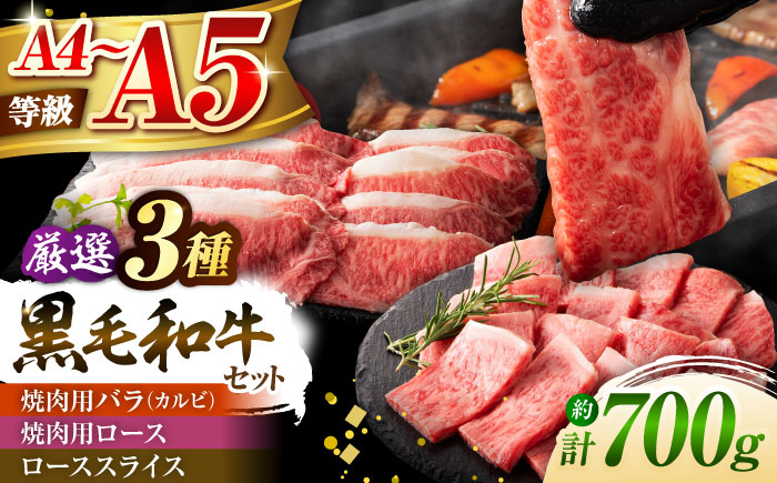 
                  くまもと黒毛和牛「藤彩牛」厳選3種の食べ比べ計700g 3902 /  牛肉 肉 黒毛和牛 国産 バラ ロース モモ 熊本 菊陽 【株式会社フジチク】 [BHAD012]
                