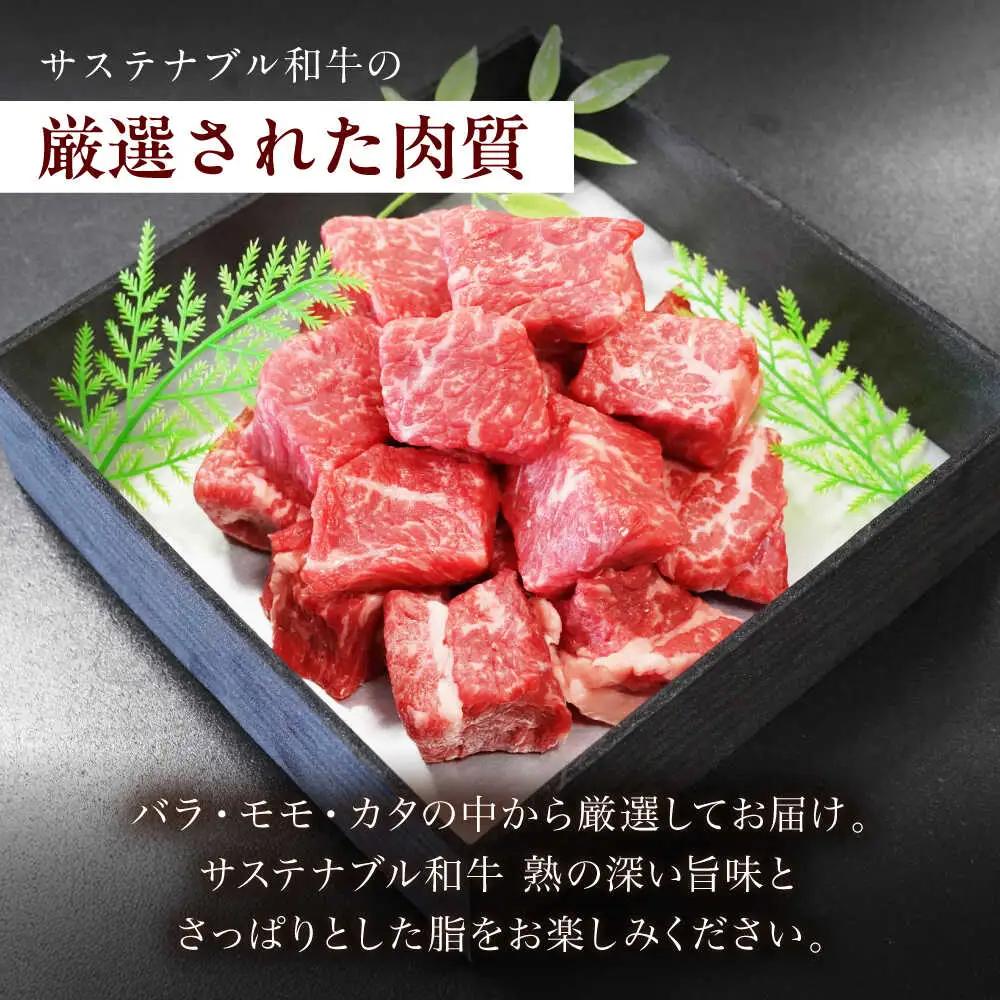 牛肉 サステナブル和牛 角切り カレー・シチュー用（モモ/カタ/バラ） 500g  [AIAT017] 
