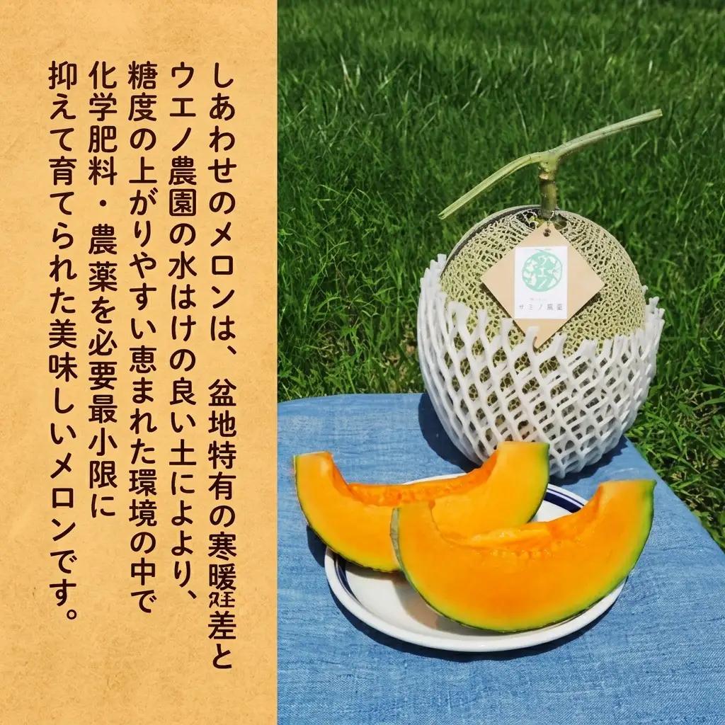 〈2027年発送〉メロン 富良野産 しあわせのメロン 赤肉 大玉 メロン【1玉 約2.3kg】