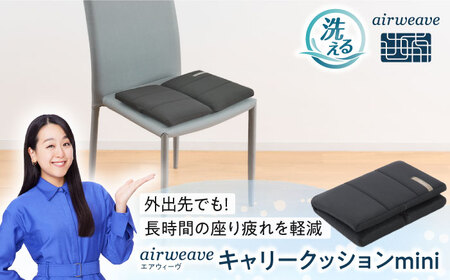 エアウィーヴ キャリークッション mini[AQBV177] エアウィーヴ 新商品