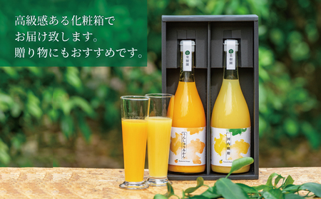 ストレートジュース 愛媛 の 柑橘ジュース 720ml × 2本 セット 壱果樹園 河内晩柑 温州みかん みかんジュース みかん 蜜柑 mikan フルーツ ジュース 果汁 100% 飲料 ギフト 贈