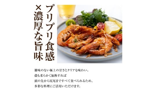 青空えび（和名：シロアシエビ）２パック入り / 海老 魚介類 冷凍 水産 食品 人気 おすすめ 送料無料【conn0001】