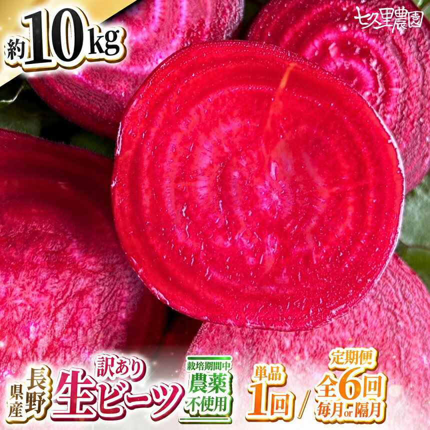 【ふるさと納税】訳あり ビーツ 約10kg 【 お試し 1回 or 6回 定期便 】| 野菜 ビーツ レッドパワー レッドパワービーツ 定期 長野県 信州 南信州 飯田市