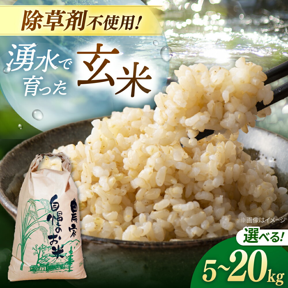 【ふるさと納税】玄米 5kg 10kg 20kg ノガミファームの玄米 ▼ 人気 福岡県産 九州 米 お米 ご飯 ごはん ゴハン 農家直送 5キロ 10キロ 20キロ 桂川町/NOGAMI FARM[ADAU008] 10000円 以上 1万円 以上