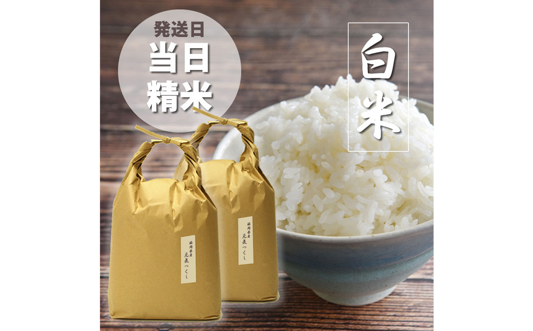 
            【令和7年産】福岡県産 【特A】評価のお米「元気つくし」5kg×2袋（10kg）白米 精米 お米 米
          
