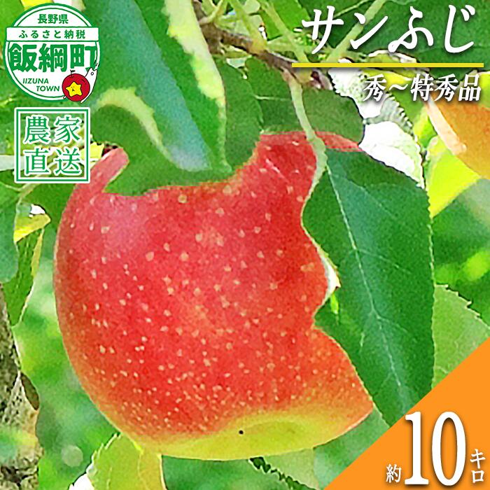 【ふるさと納税】 りんご サンふじ 秀 〜 特秀 10kg 永正の地蔵尊神谷農園 令和8年度収穫分 長野県 飯綱町 〔 信州 果物 フルーツ リンゴ 林檎 長野 予約 農家直送 〕発送時期：2026年12月上旬〜2027年2月上旬 {***}