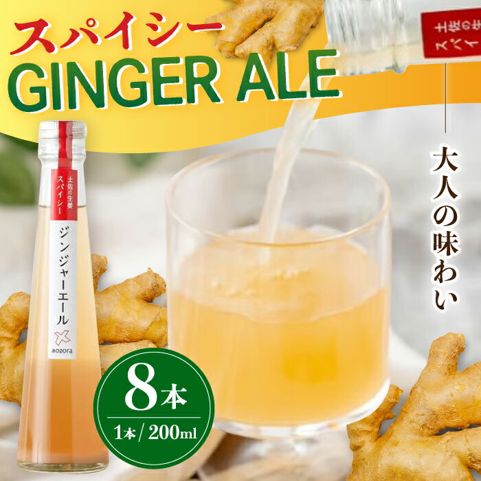 【ふるさと納税】土佐の生姜 スパイシージンジャーエール 8本セット 【あおぞら蒼空舎】[ATCY001]