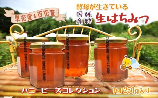はちみつ 国産 非加熱 ハニービーズコレクション “しろいの季節”のはちみつ 250g 純粋生はちみつ