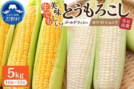 【2026年先行予約】富士北麓忍野村の気候、水、自然で作られた朝採りトウモロコシ（ゴールドラッシュ・ホワイトショコラ）詰め合わせセット（約5kg）