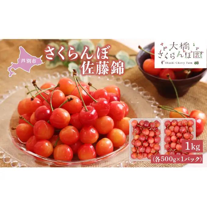 さくらんぼ 1kg (500g×2パック) 北海道 佐藤錦
