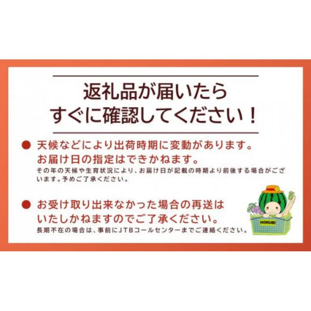 【活】タグ付き 松葉ガニ 特大1枚（900g～1kg前後）【着日指定不可】※2026年11月上旬～2027年3月下旬頃に順次発送予定 | 松葉ガニ 蟹 かに