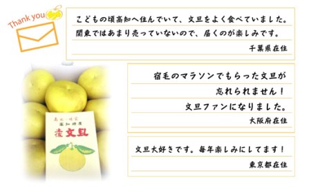 宿毛青果の宿毛産文旦10kg家庭用(Mサイズ)