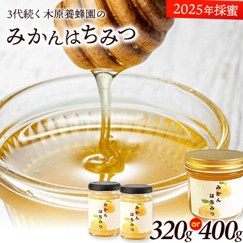 【ふるさと納税】はちみつ みかんはちみつ 選べる内容量 320g(160g×2本) または400g ミカン 蜜柑 蜂蜜 熊本県荒尾市産 純粋蜂蜜 木原養蜂園《30日以内に出荷予定(土日祝除く)》