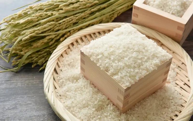 白米 特別栽培米・伊賀米結びの神 5kg【tuli0002A】