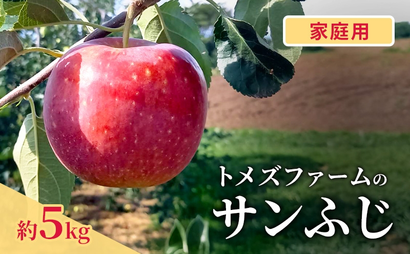 
                  サンふじ（家庭用） 約5kg（15～20玉入り）トメズファーム　りんご　長野　信州　小諸　果物　フルーツ [№5915-1663]
                