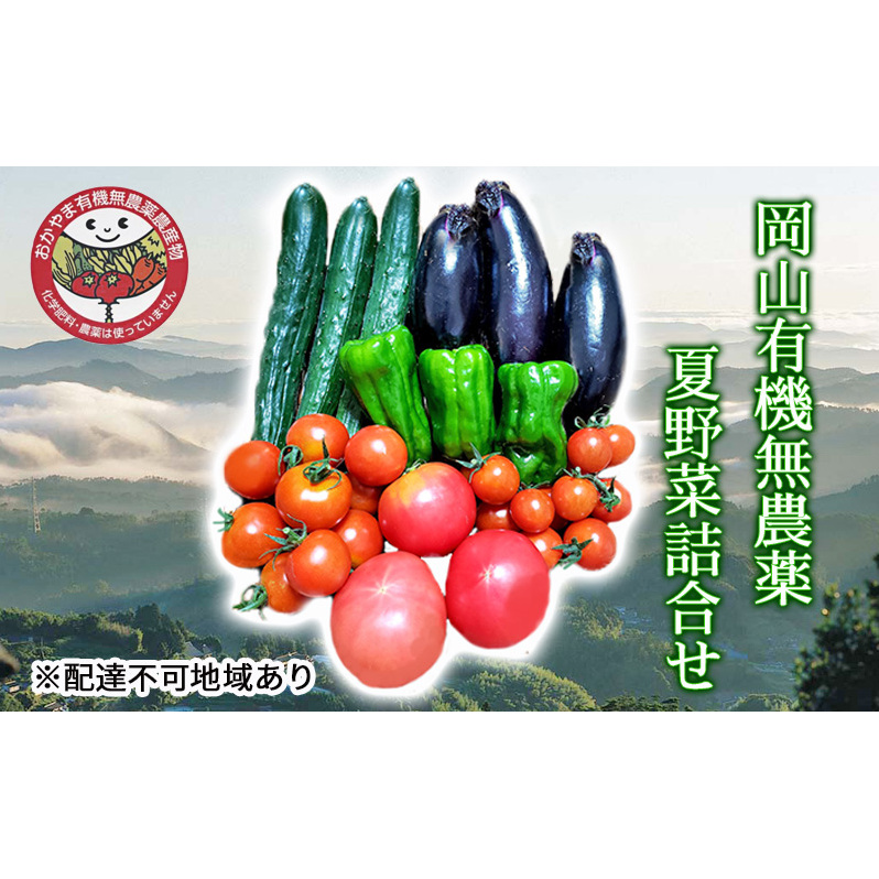 夏野菜 詰め合わせ おかやま 有機無農薬 農産物 野菜 セット