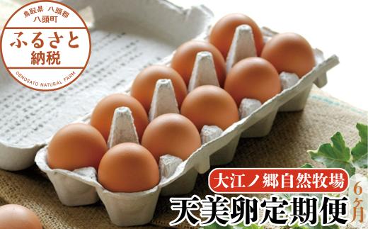 【6か月定期便】平飼い天美卵30個〈大江ノ郷自然牧場より直送〉