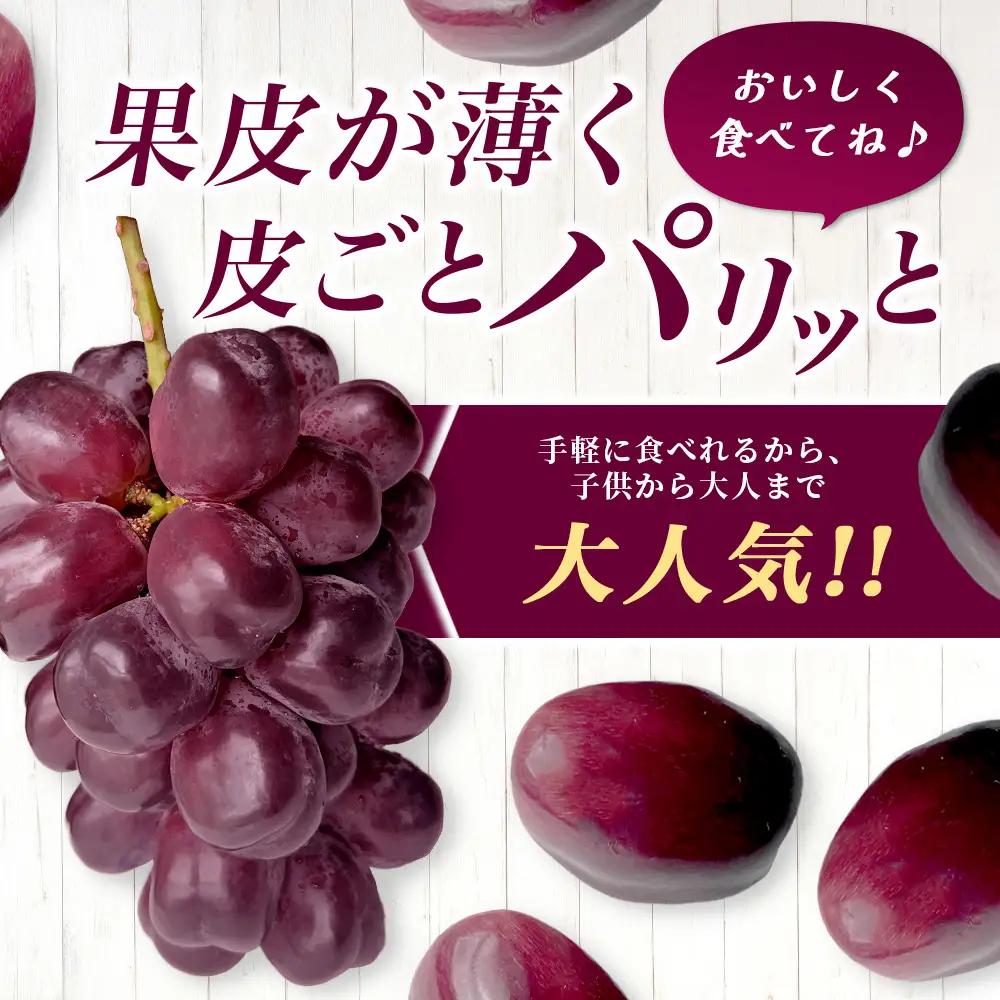 ブラックシャインマスカット 富士の輝き 1房 約700g 【先行予約】【2026年8月下旬～9月下旬発送予定】希少 高糖度 ブラック シャインマスカット マスカット フルーツ 果物 ぶどう 新鮮 生産