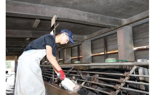 市来農芸高校産 黒豚ロース味噌漬け 100g×6袋(計600g)！豚 豚肉 肉 鹿児島 国産 黒豚 惣菜 味付き肉 味噌 みそ漬け おかず 冷凍 ギフト 贈答【エーエフ企画】【A-1116H】