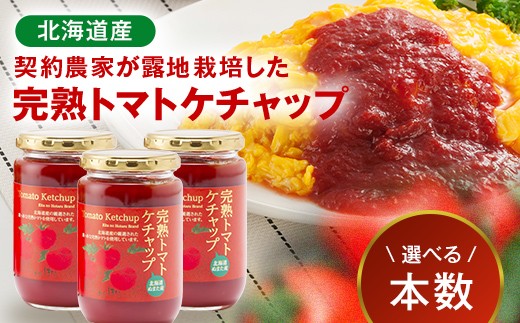 
                  ＼選べる個数／契約農家が露地栽培した完熟トマトケチャップ 2本・4本・8本（320g瓶）保存料 無添加 国産 北海道産 n-0080var
                