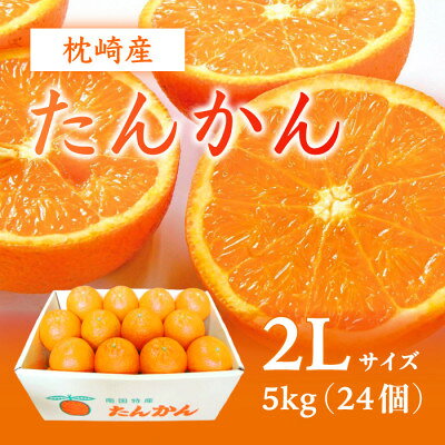 【ふるさと納税】【2Lサイズ 】南国特産もぎたて たんかん 5kg【先行予約】2月下旬より順次発送 A8-122_ たんかん くだもの 果物 フルーツ 柑橘 もぎたて 鹿児島県 枕崎市 送料無料 プレゼント 贈答 ギフト 【配送不可地域：離島】【1466325】