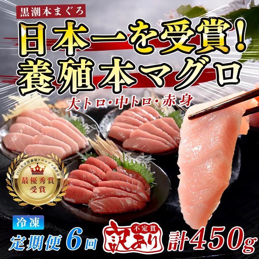 訳あり 不定貫 まぐろ マグロ 本鮪 黒潮本まぐろ 赤身 中トロ 大トロ 定期便 6回 計450g × 6回 (PT0080_0627)