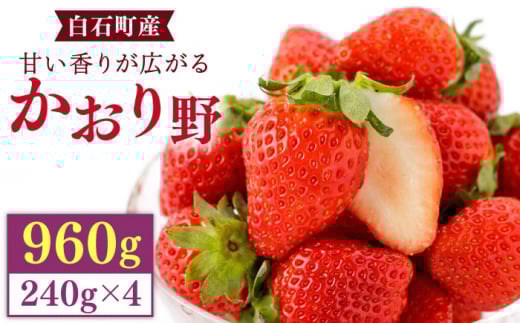 【先行予約】上品な香りの「かおり野」240g×4パック【StrawberryFarm-K】 [IBJ012]