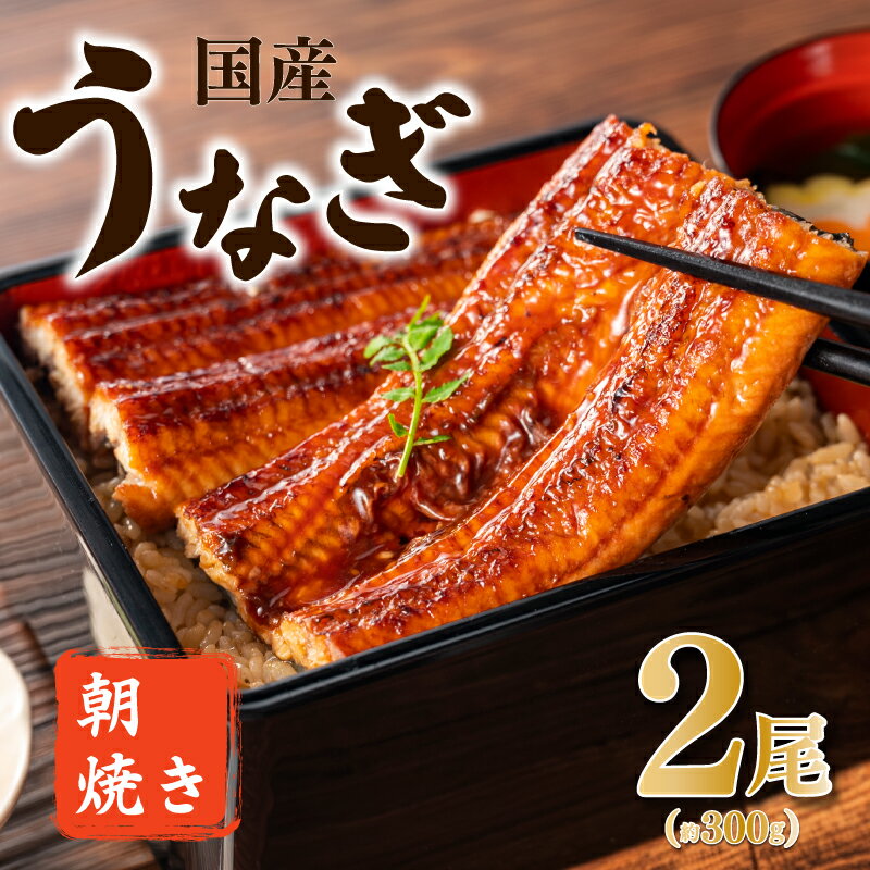 【ふるさと納税】柳川朝焼きうなぎ 2尾入 約150g×2 合計約300g タレ・山椒3袋