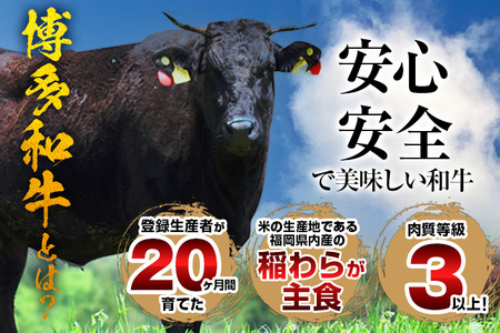 博多和牛 黄金カレー 博多和牛 牛肉 カレー カレーライス ご飯 お取り寄せ 福岡 グルメ