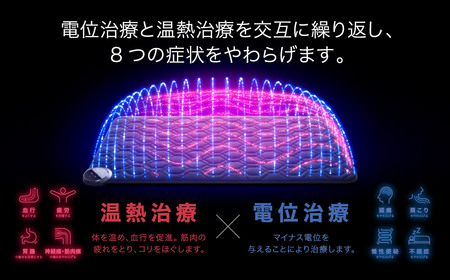 電位・温熱組合せ家庭用医療機器〔エアー〕ヘルシオン