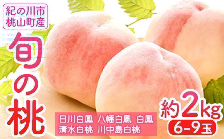 
            【先行予約】桃 約2kg（6-9玉） 岸武青果株式会社《2026年6月末頃-8月末頃出荷》 和歌山県 紀の川市 桃山町 もも モモ 果物 フルーツ
          
